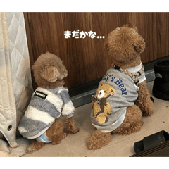 momo_20260629093418