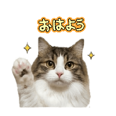 Teto_20260629092759