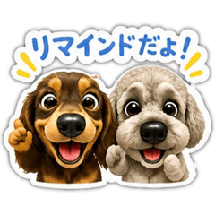 Chloe_20260629094536