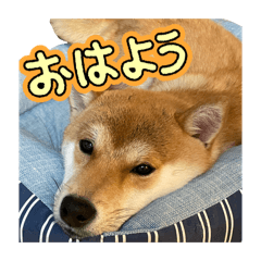 K_20260629102226