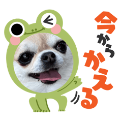 yume's mama_20260629103235