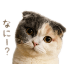 Kei.N_20260629104201