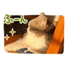hiroki_20260629120431