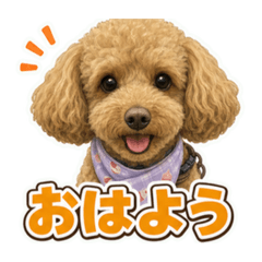kiyoko_20260629124803