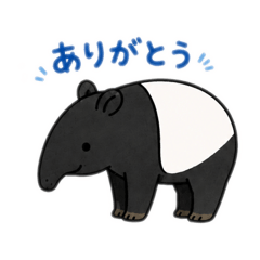 Nameko_20260629135033