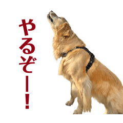 ForetMichiko_20260629142033