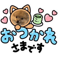 U_20260629143042