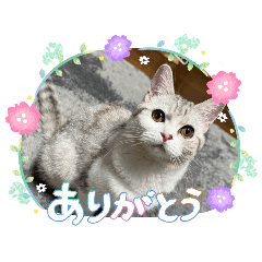 eli&ulu_20260629143247