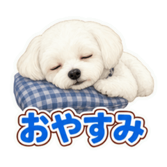 REO kun stamp 2026