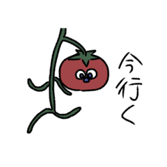 tomatoooooooooon