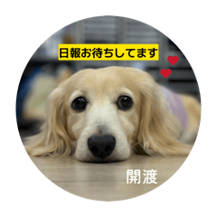 Kaorin_20260629153148