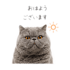 tsuna_20260629152755