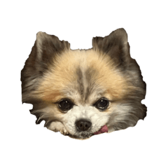 yuka_20260629175326