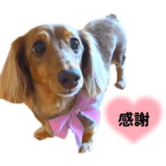 himemomogram6