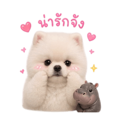 Kaimook_20260503165438