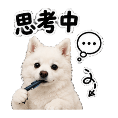 拔辣小王子～工作篇