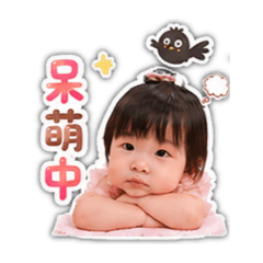 小米寶日常3