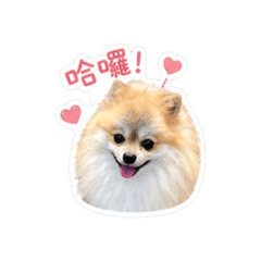 COCO問候貼圖