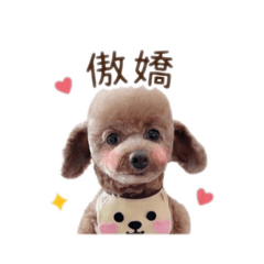 雪莉小公主