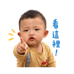 宸宸（日常用語篇）