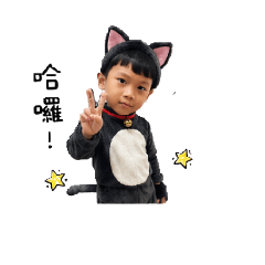 曜陽小貓咪