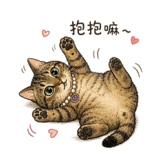 Aiko喵～❤️