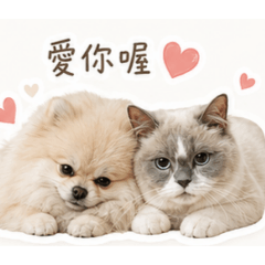 我家的七寶