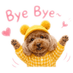 妞妞在幹嘛