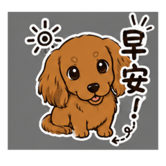 迪迪 日常篇