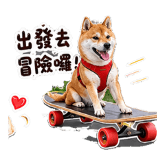 我的多多寶貝 1