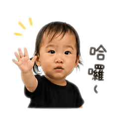 Maoo 毛球球