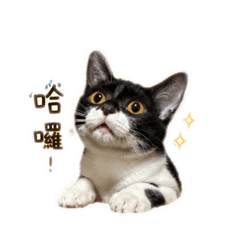 我是爸爸最愛的嘟嘟