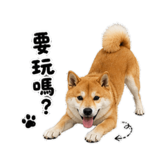 我的多多寶貝 2