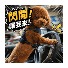 20260527多比仔
