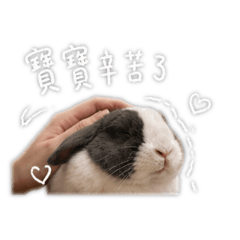 小兔嘟嘟
