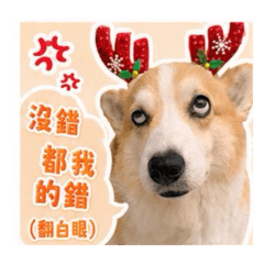 屋尼屋啊啊