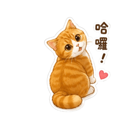 軟萌橘橘