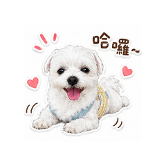 扣扣寶貝一