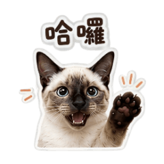 卡布咪
