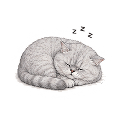 姆姆日常 1