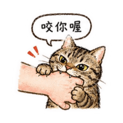耖灰搭小坦克ᓚ₍ ^. .^₎