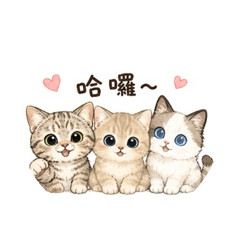 貓仔兒的日常用語