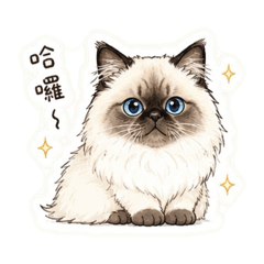 貓貓和動物們