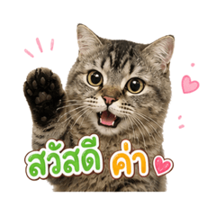 Puwadonn story_20260503180644