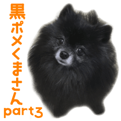 黒ポメくまさんpart3 Line スタンプ Line Store 黒ポメくまさんpart3 Line スタンプ Line Store