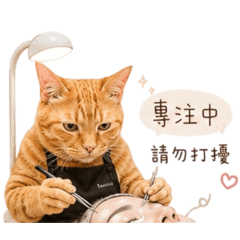 我的兒子是隻貓