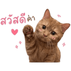 SongSom_