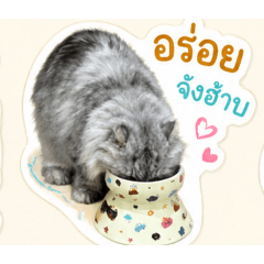 bassky_20260503201732