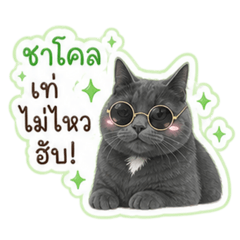 BowNi_20260503203035