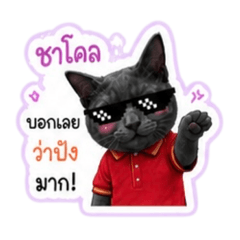 BowNi_20260503210435